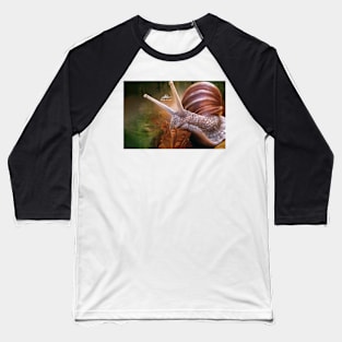 Digital Snail Baseball T-Shirt